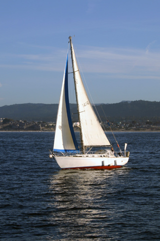 Sailboat at Monterey